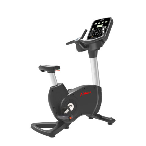 Upright Magnetic Resistant Bike 9101C
